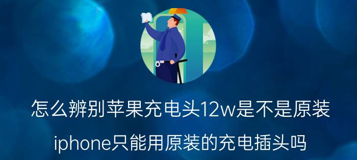 怎么辨别苹果充电头12w是不是原装 iphone只能用原装的充电插头吗？